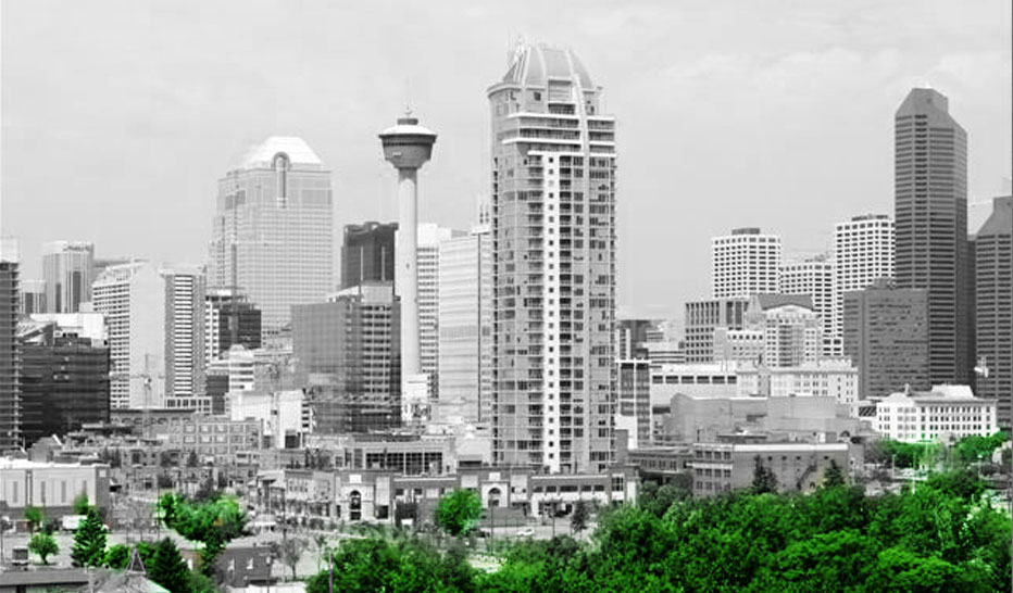 Clean Team Property Services - About Us